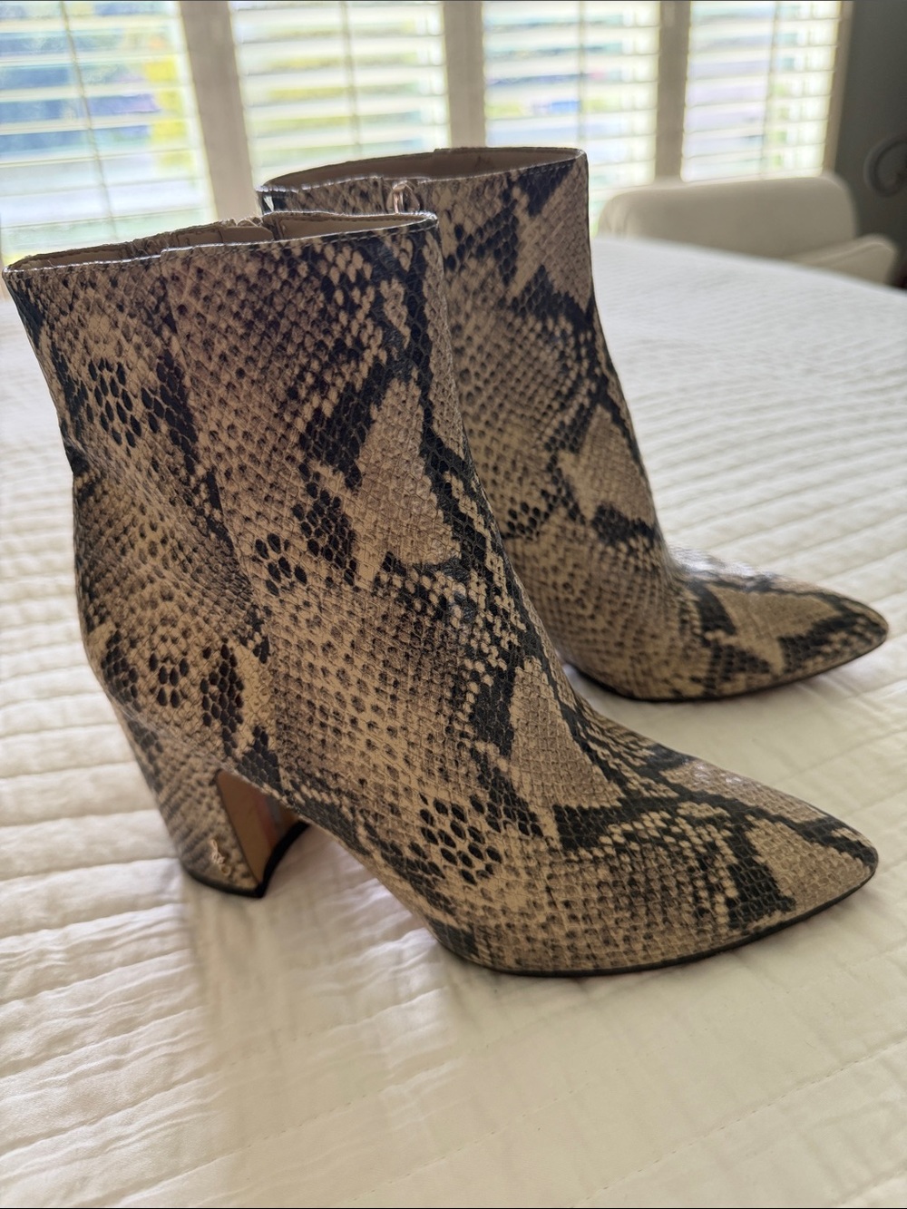 Sam Edelman Neutral Snake-Print Ankle Boots